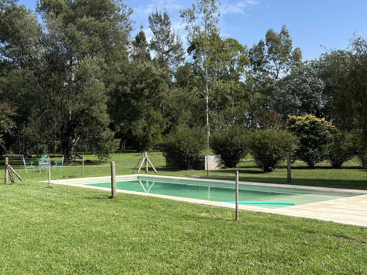 Image-1