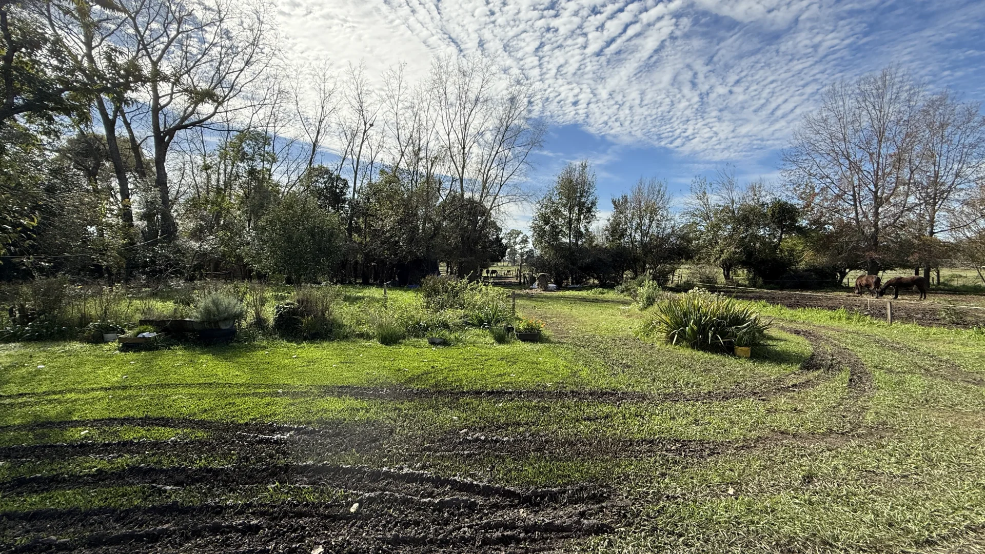 Campo en venta, foto 20