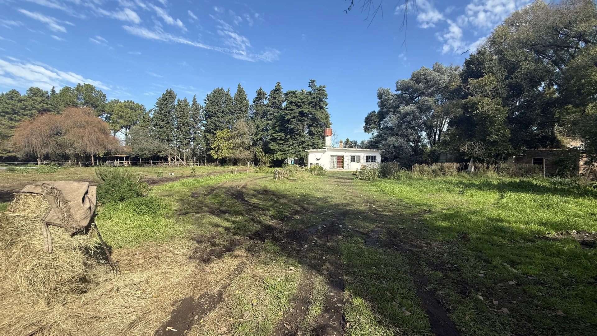 Campo en venta, foto 5