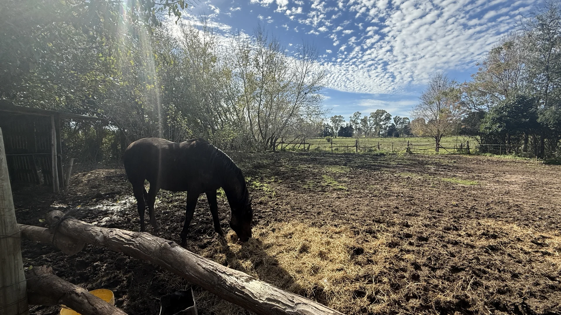 Campo en venta