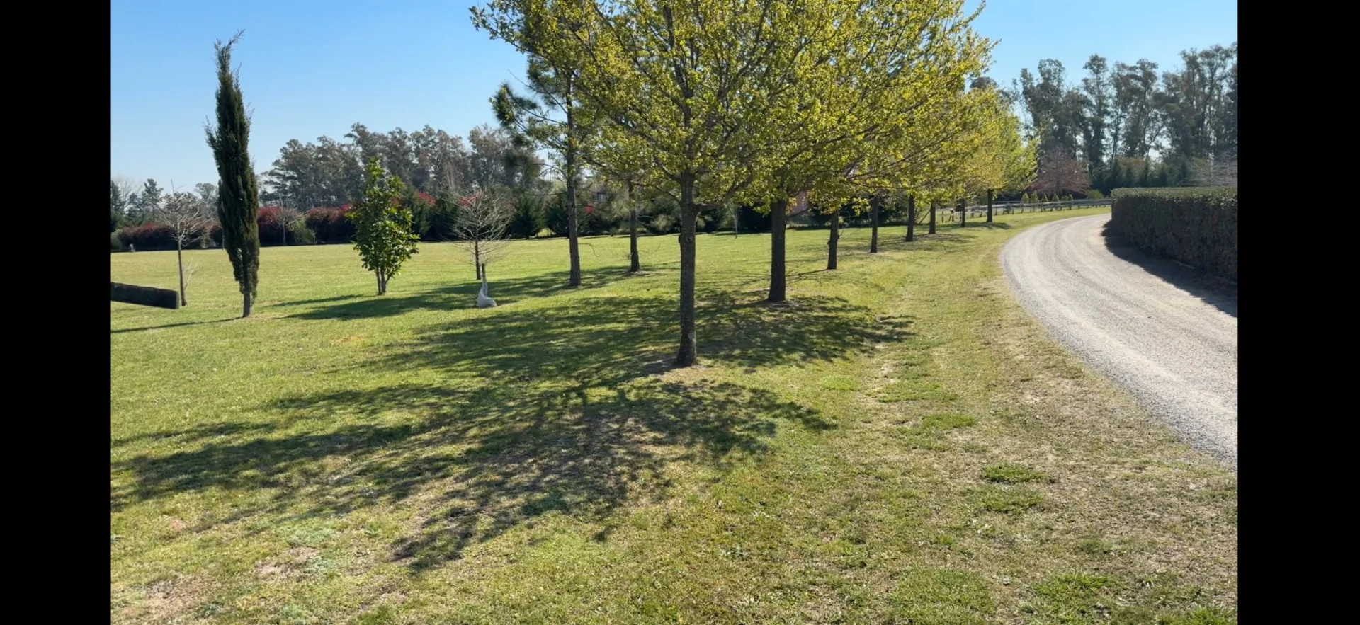 LOTE EN "CHACRAS DE LA CRUZ", foto 6