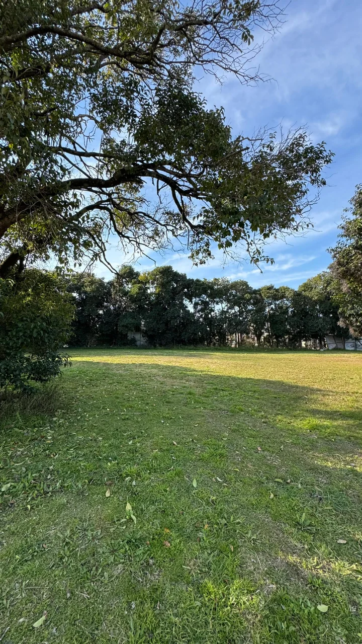 Lote en venta Barrio Alto Norte, foto 7