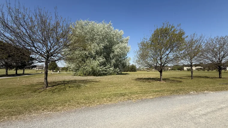 Lote en Venta en "Chacras de la Cruz", foto 1