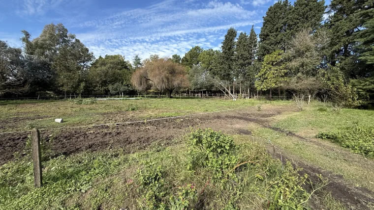 Campo en venta, foto 21