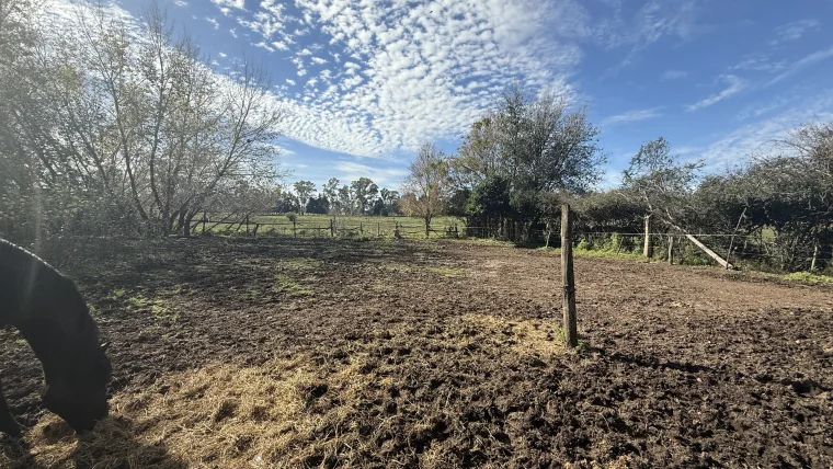 Campo en venta, foto 13