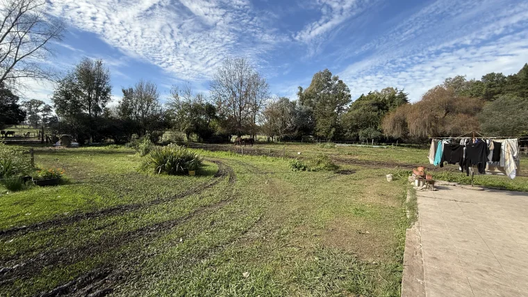 Campo en venta, foto 11