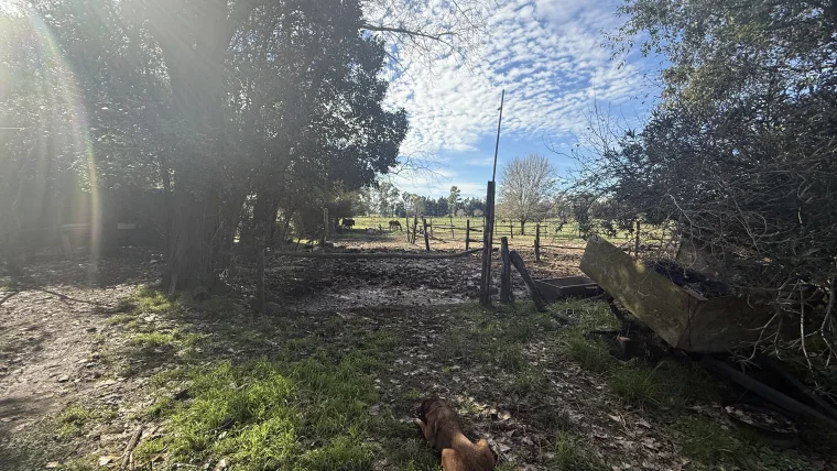 Campo en venta, foto 3