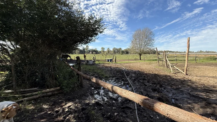 Campo en venta, foto 15